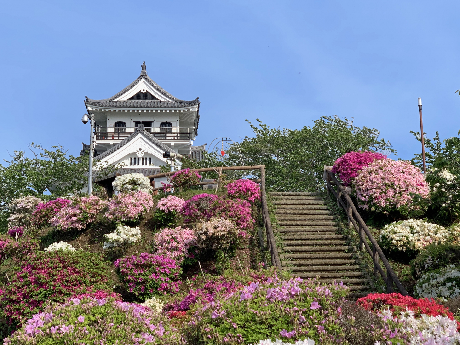 館山城・城山公園